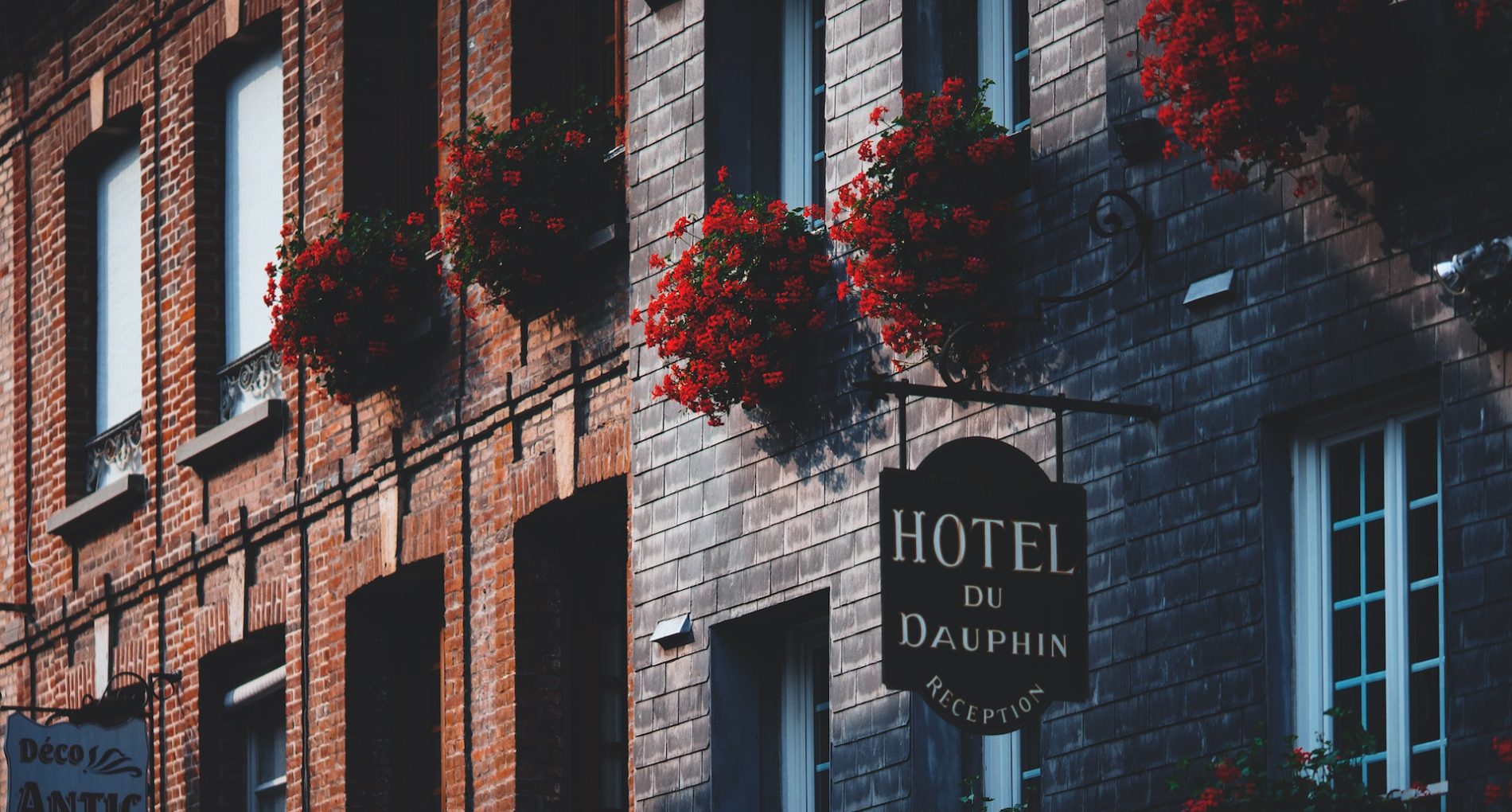 pexels-maria-orlova-4916129